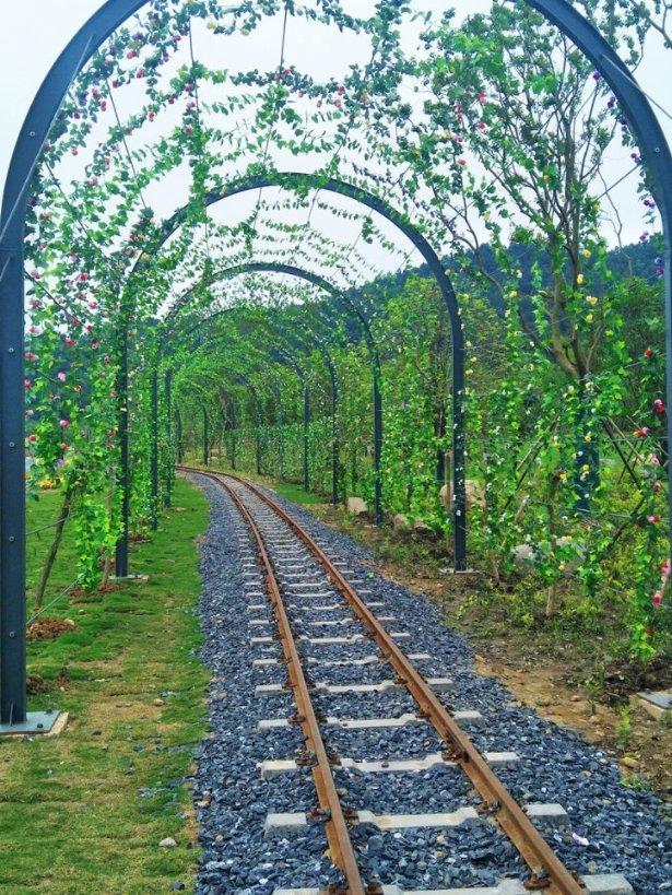 悬崖跳水运动