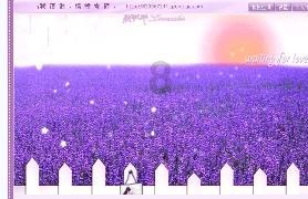 萨基:米兰的进步都是皮奥利教导的结果,现在不能再考虑联赛冠军