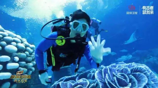 沙俄海军制式驱逐舰:乌克兰级驱逐舰,沙俄海军的港口守卫者