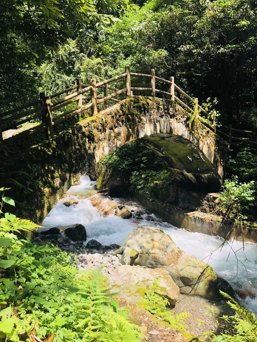 次元喵