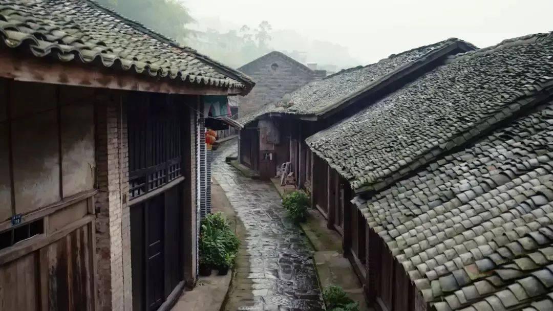 脑洞小老弟无实名认证