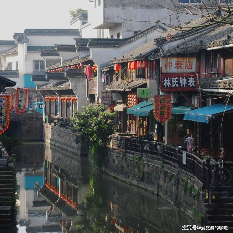 采挖冬葱 供应市场